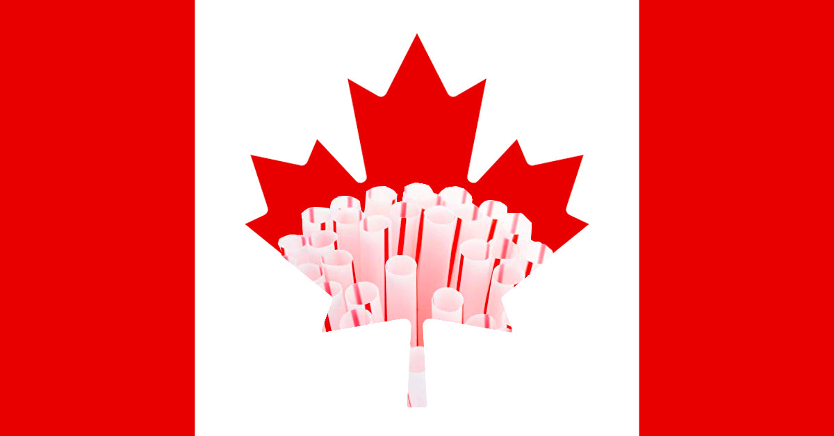 Canada Commits To Banning SingleUse Plastics By 2021 Government Sour