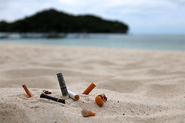 cigarettes littering Cigarette Butts Are Toxic Plastic Pollution, Stop Littering Them – Final