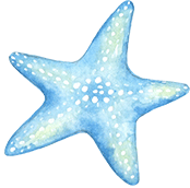 FinalStraw Star