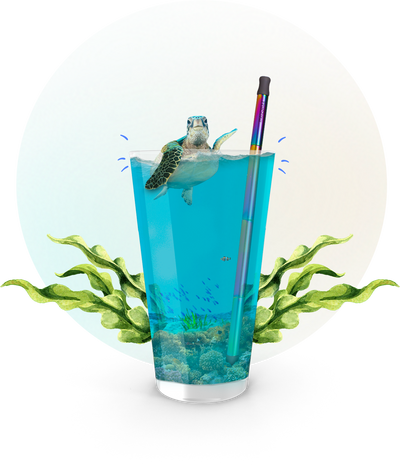 straw in drink with turtle
