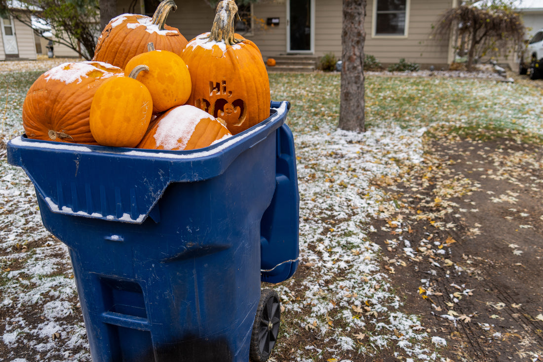 Halloween Creates Spooky Amounts Of Waste, Here’s How To Celebrate More Sustainably!
