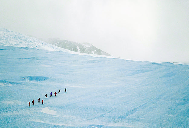 Airbnb Will Pay For You To Study Microplastics In Antarctica, Citizen Scientists Welcome