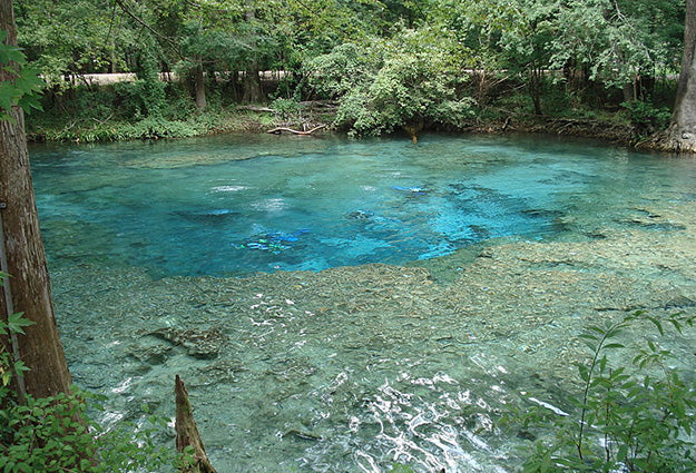 Nestlé Wants To Bottle Up 1.152 Million Gallons Of Water Per Day From Ginnie Springs