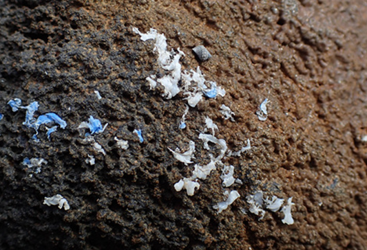 New “Plasticrust” Is Forming On Our Shorelines
