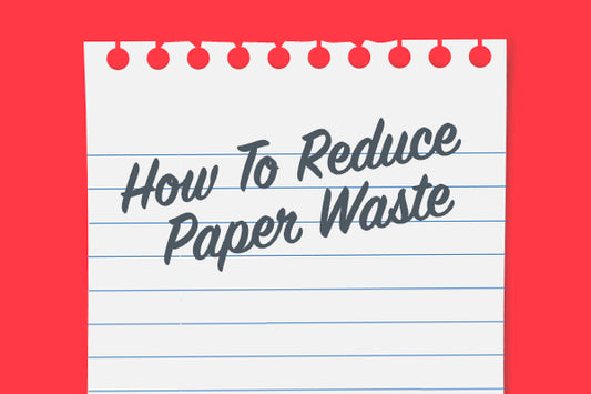 Save The Trees: Reduce And Refuse Single-Use Paper Products