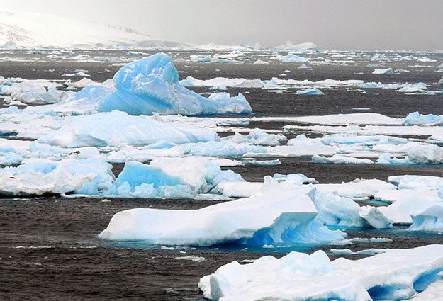 Microplastics Are Everywhere, Even The Arctic Air