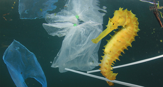 Five Ways to Say No to a Plastic Straw