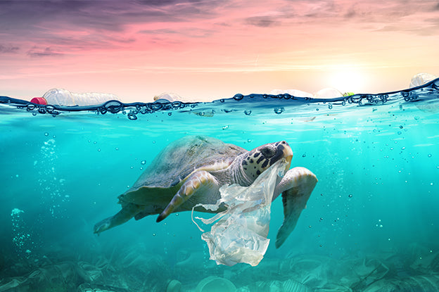 How To Avoid Single-Use Plastic Bags This International Plastic Bag Free Day