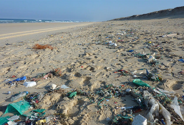 Do Your Part And Join The International Coastal Cleanup On September 21