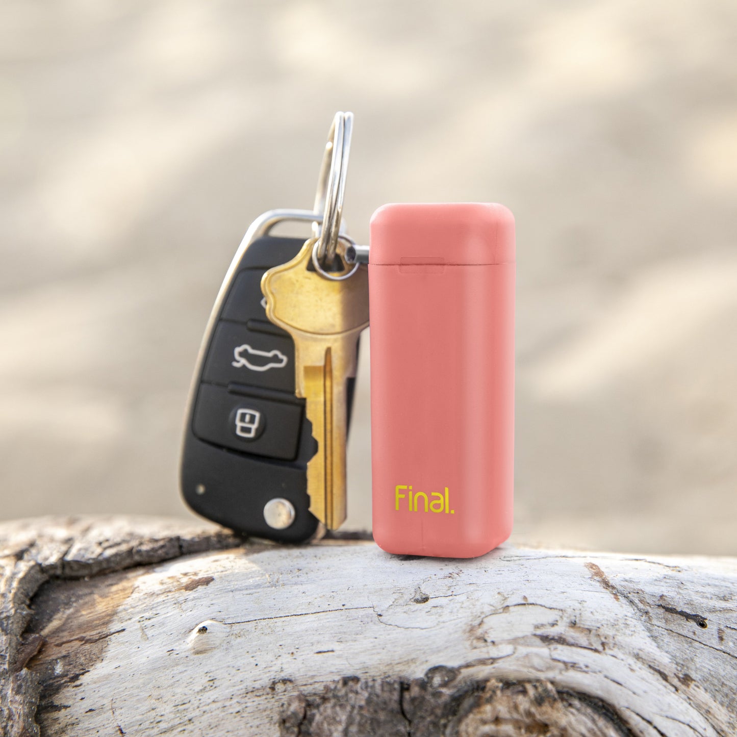 Healthy Coral / Rainbow