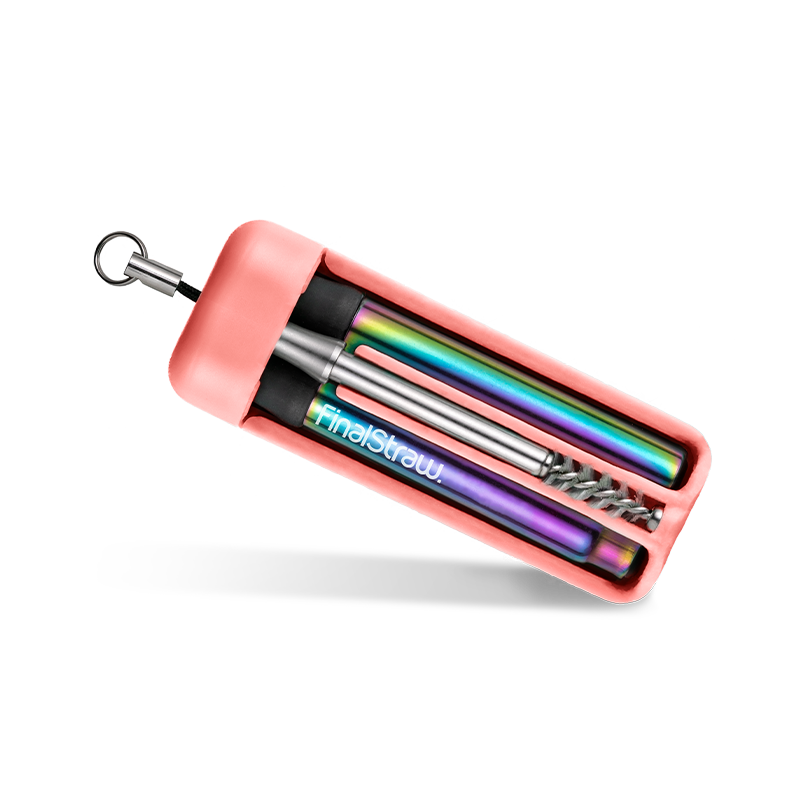 Healthy Coral / Rainbow