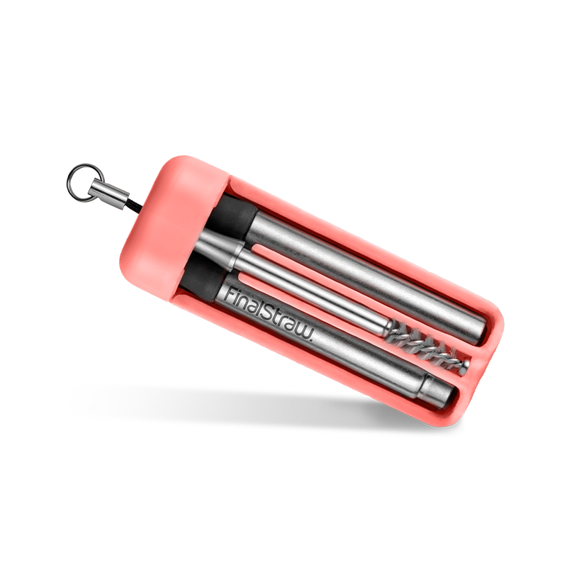 Healthy Coral / Silver