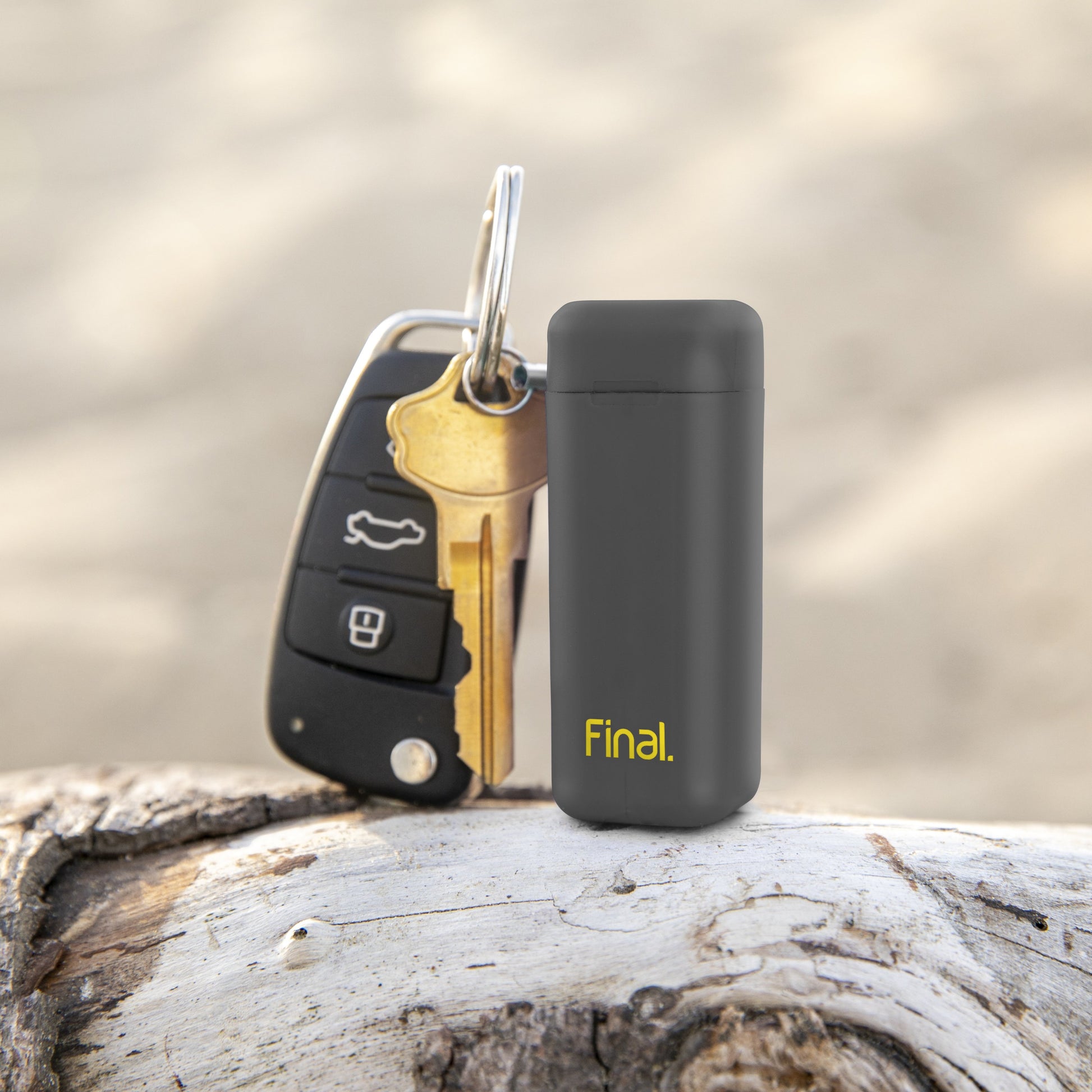 Shark-Butt Grey / Rainbow