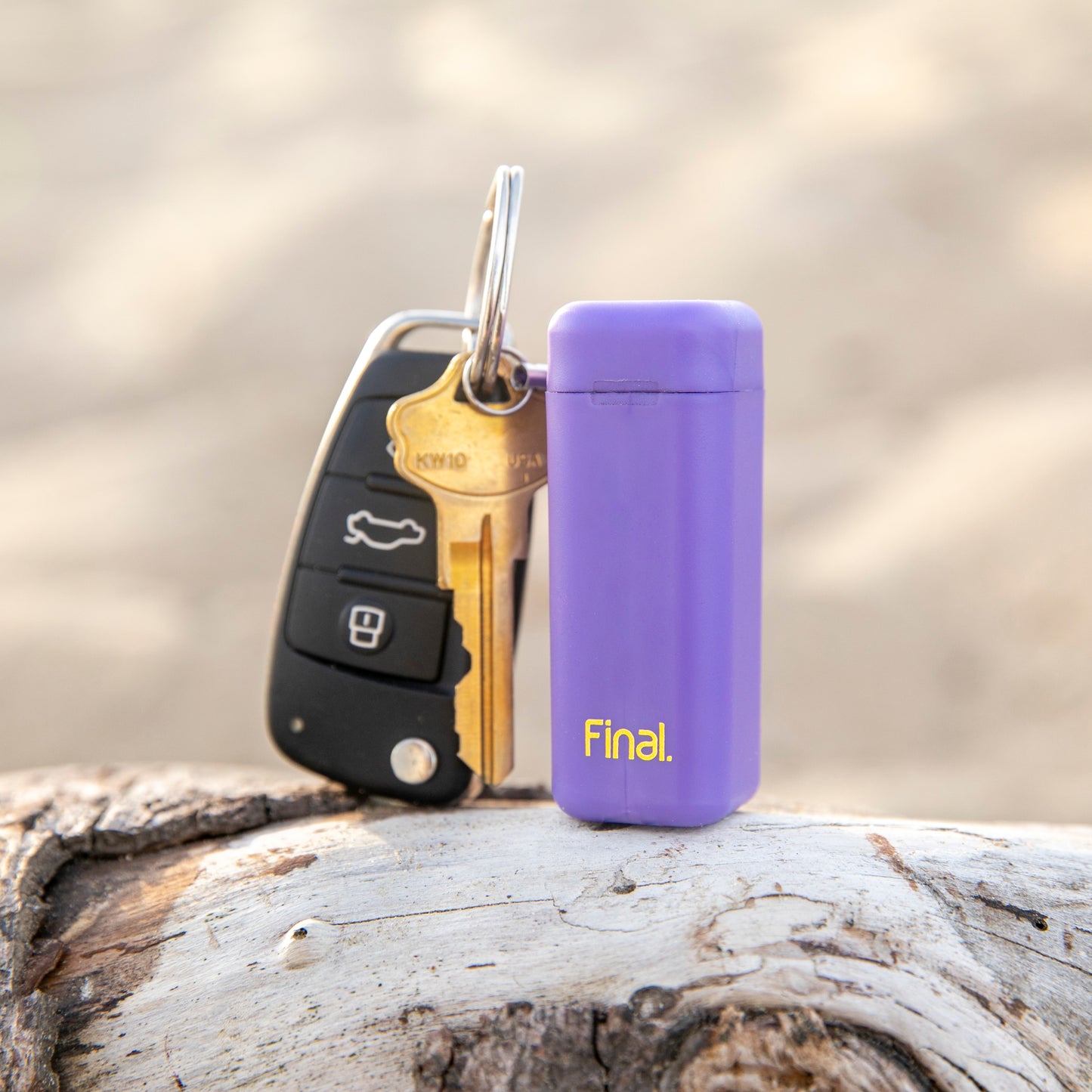 Porpoise-Ful Purple / Rainbow