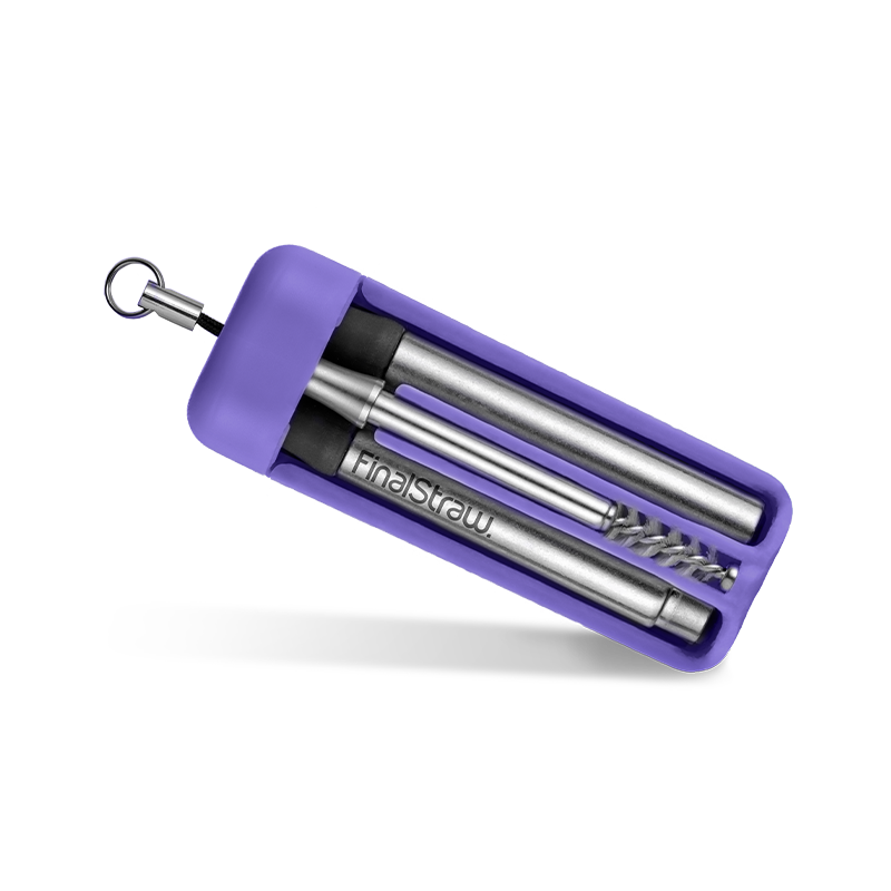 Porpoise-Ful Purple / Silver